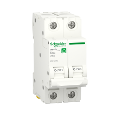 شنايدر الكتريك مفتاح ريزي 9 ثنائي، 63 امبير - Schneider Electric