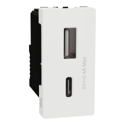 USB Type A+C, Miluz E, 2 Port, 2.4A, 12W, 1 Module, White - Schneider Electric
